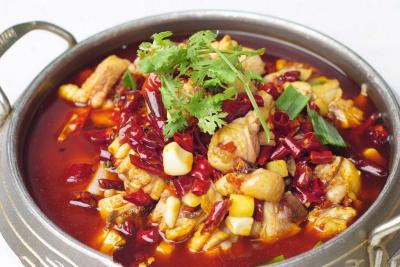 餐飲項目有什么，火鍋雞技術培訓哪里好？