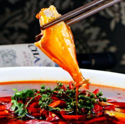 耗兒魚技術(shù)培訓(xùn)在哪里學(xué)？