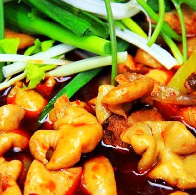 肥腸雞技術(shù)培訓(xùn)要去哪里學(xué)？